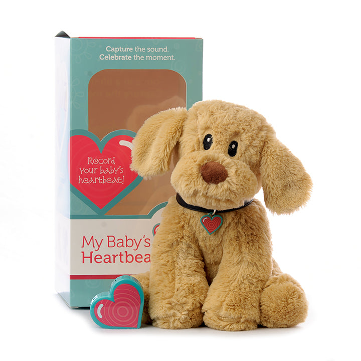 Teddy bear with outlet heartbeat for puppies