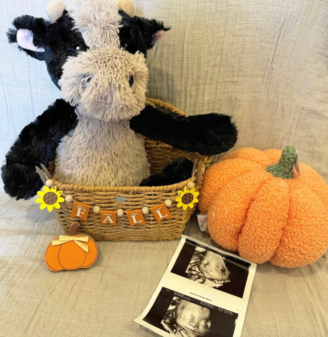 The Perfect Fall Gender Reveal Bundle