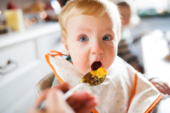 Baby’s First Foods - My Baby's Heartbeat Bear