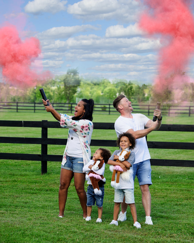 Load image into Gallery viewer, Gender Reveal Cannons
